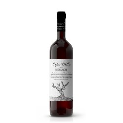 Mencía Ribeira Sacra "Cepa...